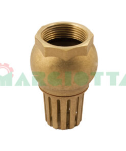 Valvola di fondo con succheriola