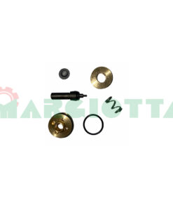 Kit interno valvola F6 TN - STAR 50 Campagnola PACK.0304