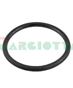 O-ring centrale per filtri aspirazione 92 x 100 (mm) Arag