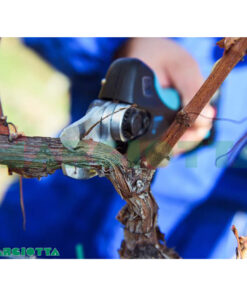 Forbice da potatura elettrica Stark M con batteria Plug-in Campagnola LN24.0700