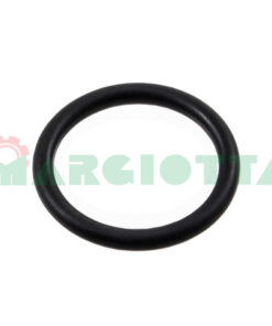 O-ring per serbatoio Annovi Reverberi cod. 720030