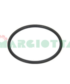 Guarnizione OR 56,74x3,53 Annovi Reverberi cod. 750740