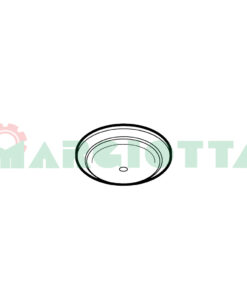 Ugello a rosa in acciaio inox diametro 15 mm, fori 1 - 1,2 - 1,5 - 1,8 - 2